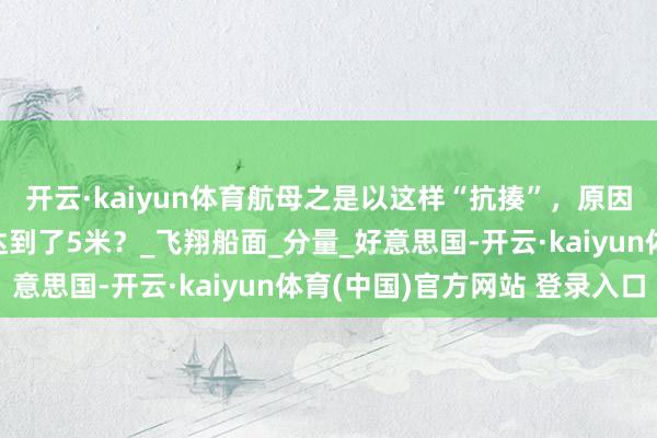 开云·kaiyun体育航母之是以这样“抗揍”，原因是它用的钢板厚度就达到了5米？_飞翔船面_分量_好意思国-开云·kaiyun体育(中国)官方网站 登录入口