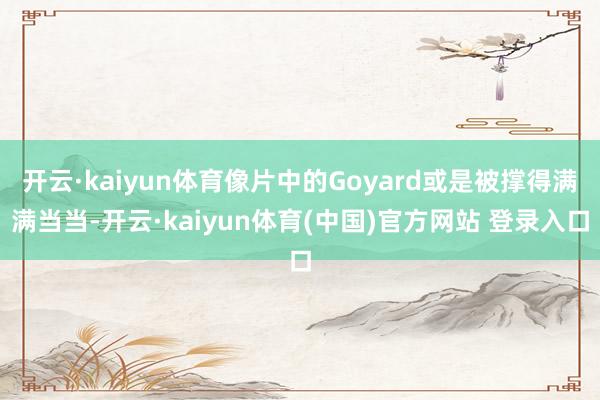 开云·kaiyun体育像片中的Goyard或是被撑得满满当当-开云·kaiyun体育(中国)官方网站 登录入口